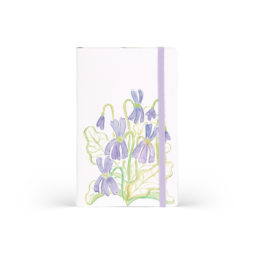 Aquarello Violets